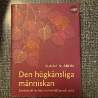 Den h&ouml;gk&auml;nsliga m&auml;nniskan : konsten att m&aring; bra i en &ouml;verv&auml;ldigande v&auml;rld