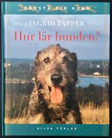 Hur l&auml;r hunden?