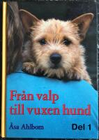 Fr&aring;n valp till vuxen hund. Del 1