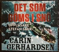 Det som g&ouml;ms i sn&ouml; - LJUDBOK Mp3