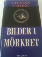 Bilder i m&ouml;rkret