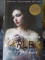 P&aring; &ouml;ppet hav