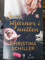 Sm&aring; stj&auml;rnor i natten