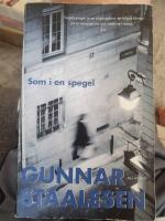 Som en en spegel
