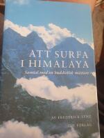 Att surfa i Himalaya. Samtal med en buddistisk m&auml;stare