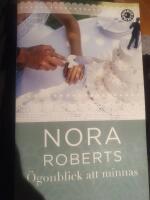 &Ouml;gonblick att minnas