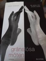 Gr&auml;nsl&ouml;sa m&ouml;ten