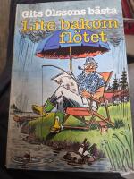 Lite bakom fl&ouml;tet