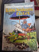 Lite bakom fl&ouml;tet