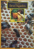 Ett &aring;r i big&aring;rden