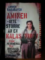 Amineh - inte st&ouml;rre &auml;n en kalasjnikov. Fr&aring;n peshmerga till riksdagsledamot.