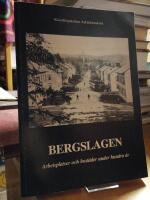 Bergslagen. Arbetsplatser och bost&auml;der under hundra &aring;r.