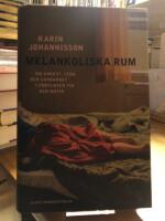 Melankoliska rum. Om &aring;ngest, leda och s&aring;rbarhet i f&ouml;rfluten tid och nutid.