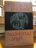 Nedst&ouml;rtad &auml;ngel. En k&auml;rleksroman.