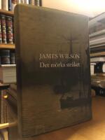 Det m&ouml;rka str&aring;ket.