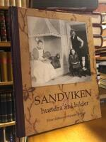 Sandviken. Hundra &aring;r i bilder.