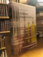 Andens fenomenologi.