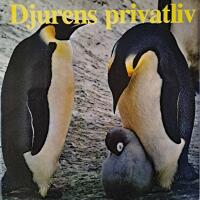 Djurens privatliv