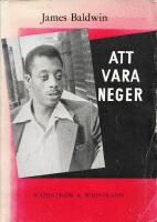 Att vara neger