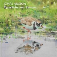 Jonas Nilsson : &ouml;gonblicken som f&ouml;rsvann