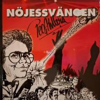 N&ouml;jessv&auml;ngen