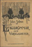 Lyckodr&ouml;mmar och verkligheter