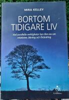 Bortom tidigare liv - vad parallella verkligheter kan l&auml;ra oss om relationer, l&auml;kning och f&ouml;r&auml;ndring