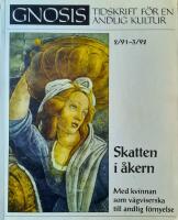 Skatten i &aring;kern. Med kvinnan som v&auml;gviserska till andlig f&ouml;rnyelse