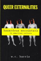 Queer Externalities: Hazardous Encounters in American Culture