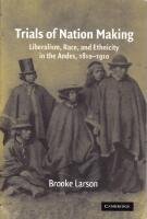 Trials of Nation Making: Liberalism, Race, and Ethnicity in the Andes, 181