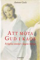 Att m&ouml;ta Gud i kaos. Religi&ouml;sa visioner i dagens Sverige