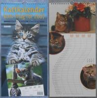 Kalender: Kattkalender kom-ih&aring;g f&ouml;r 2007