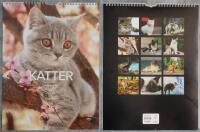 Kalender: Katter 2022