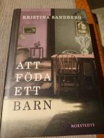 Att f&ouml;da ett barn
