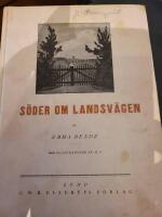 S&ouml;der om landsv&auml;gen