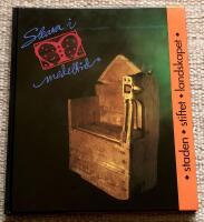 Skara i medeltid. Staden, stiftet, landskapet