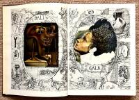 The secret life of Salvador Dali 