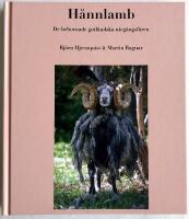 H&aring;nnlamb. De behornade gotl&auml;ndska uteg&aring;ngsf&aring;ren
