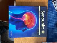 Synpunkt