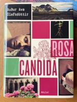 Rosa Candida