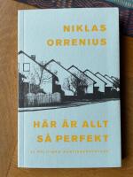 H&auml;r &auml;r allt s&aring; perfekt : 23 politiska samtidsreportage
