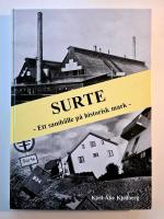 Surte : ett samh&auml;lle p&aring; historisk mark