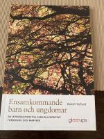 Ensamkommande barn och ungdomar : en introduktion till samh&auml;llskontext, forskning och ramverk