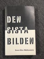 Den sista bilden : det moderna m&aring;leriets kriser och f&ouml;rvandlingar
