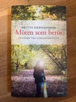 M&ouml;ten som ber&ouml;r : En guide till Lukasevangeliet