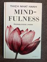 Mindfulness : Ögonblickens under
