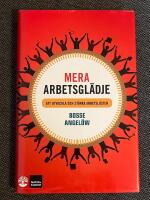 Mera arbetsgl&auml;dje : Att utveckla och st&auml;rka arbetslusten