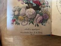 Blomsterspr&aring;ket : Historiskt Mythologiskt och Poetiskt af Wilhelmina (Efter Aim&eacute;-Martin m. fl.)