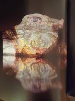 Lena Mattsson : beyond the surface