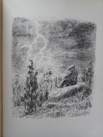 Gogo - en ber&auml;ttelse om ett lyckligt barn i naturen (Med f&ouml;rfattardedikation.)